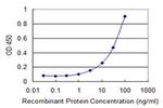 ZPLD1 Antibody in ELISA (ELISA)