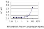 Myotrophin Antibody in ELISA (ELISA)