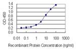 SPANXN3 Antibody in ELISA (ELISA)
