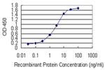 SPRR4 Antibody in ELISA (ELISA)