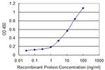 UBL4B Antibody in ELISA (ELISA)