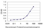ZNF92 Antibody in ELISA (ELISA)