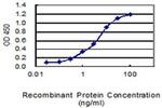 FAM174A Antibody in ELISA (ELISA)