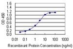 NOMO3 Antibody in ELISA (ELISA)