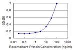 TRIB2 Antibody in ELISA (ELISA)