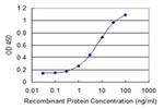 C14orf129 Antibody in ELISA (ELISA)