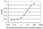 FBXO31 Antibody in ELISA (ELISA)