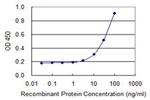 DCAF8 Antibody in ELISA (ELISA)