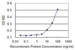 Calpain 15 Antibody in ELISA (ELISA)