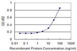 CDY2A Monoclonal Antibody (2E2)