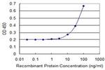 ZNF511 Antibody in ELISA (ELISA)