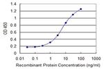 PCDHA7 Antibody in ELISA (ELISA)