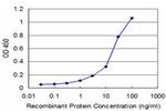MYL5 Antibody in ELISA (ELISA)