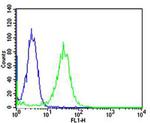 MAFK Antibody in Flow Cytometry (Flow)