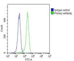 MKRN2 Antibody in Flow Cytometry (Flow)