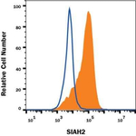 SIAH2 Antibody in Flow Cytometry (Flow)
