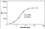 RBP4 Antibody in ELISA (ELISA)
