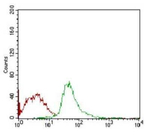 SCP3 Antibody in Flow Cytometry (Flow)