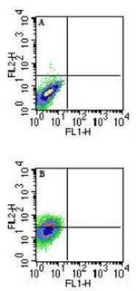QA-1b Antibody in Flow Cytometry (Flow)