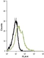 KCNN4 (extracellular) Antibody in Flow Cytometry (Flow)
