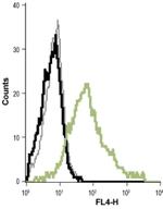 KCNN4 (extracellular) Antibody in Flow Cytometry (Flow)