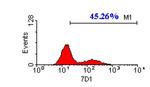 CACNB3 Antibody in Flow Cytometry (Flow)