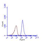 SQSTM1 Antibody in Flow Cytometry (Flow)