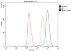 Emerin Antibody in Flow Cytometry (Flow)