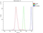 CRM1 Antibody in Flow Cytometry (Flow)