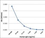 Human IgG1 Secondary Antibody in ELISA (ELISA)