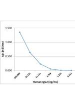 Human IgG2 Secondary Antibody in ELISA (ELISA)