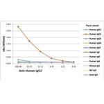 Rabbit anti-Human IgG2 Recombinant Secondary Antibody, Biotin