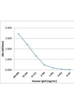 Human IgG4 Fc Secondary Antibody in ELISA (ELISA)