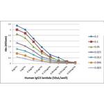 Human Ig (Light chain) Secondary Antibody in ELISA (ELISA)