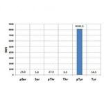 Phosphotyrosine Antibody in Luminex (Luminex)