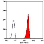 LTB4R Antibody in Flow Cytometry (Flow)