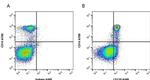 CD119 (IFN gamma Receptor 1) Antibody in Flow Cytometry (Flow)