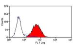 CD205 Antibody in Flow Cytometry (Flow)