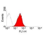 RT1.Ac Antibody in Flow Cytometry (Flow)