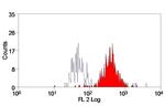 F4/80 Antibody in Flow Cytometry (Flow)