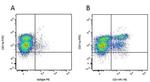 CD11a (LFA-1alpha) Antibody in Flow Cytometry (Flow)