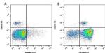 CD11b Antibody in Flow Cytometry (Flow)