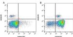 CD11b Antibody in Flow Cytometry (Flow)