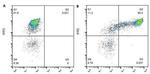 CD14 Antibody in Flow Cytometry (Flow)