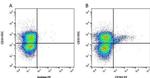 CD163 Antibody in Flow Cytometry (Flow)