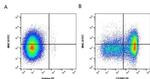 CD1w2 Monoclonal Antibody (CC20), PE