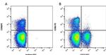CD21 Antibody in Flow Cytometry (Flow)