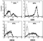 CD25 Antibody in Flow Cytometry (Flow)