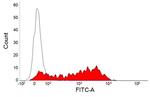 CD25 Antibody in Flow Cytometry (Flow)
