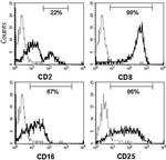 CD25 Antibody in Flow Cytometry (Flow)
